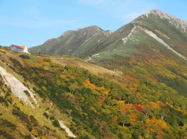 敬老の日連休に、爺ヶ岳主稜線に舞い降りた紅葉前線ですが、まもなくピークを迎えようとしています。
