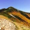 数日前にはピークと思われた、爺ヶ岳南西斜面はさらに色を増しました。