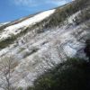 柏原新道　夏ならゆったりとした登りの「石ベンチ」付近も、２００ｍぐらいの雪渓です。