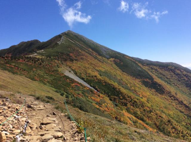 爺ヶ岳主稜線の紅葉はまもなくピークを迎えんとしています。
