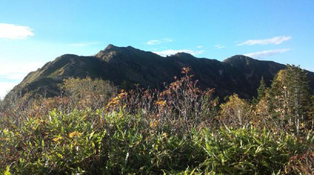 標高２４１０ｍの冷池山荘付近の紅葉のピークは終了。今は赤岩尾根の紅葉がいい感じに・・・