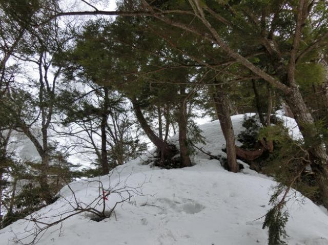 赤岩尾根も下部から積雪たっぷり。下山の際は滑落要注意！