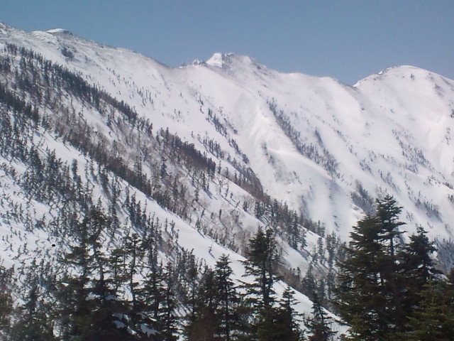 4/29の降雪でふたたび白さを増した感じの爺ヶ岳北側斜面