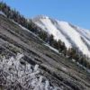 雪は降りませんでしたが、霜が降りて白さが増した爺ヶ岳です。