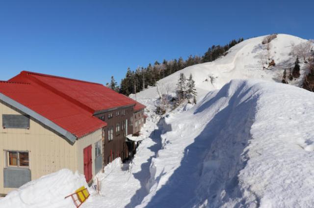少雪の今春は小屋前の除雪した雪山も心なしかボリュームがありません。