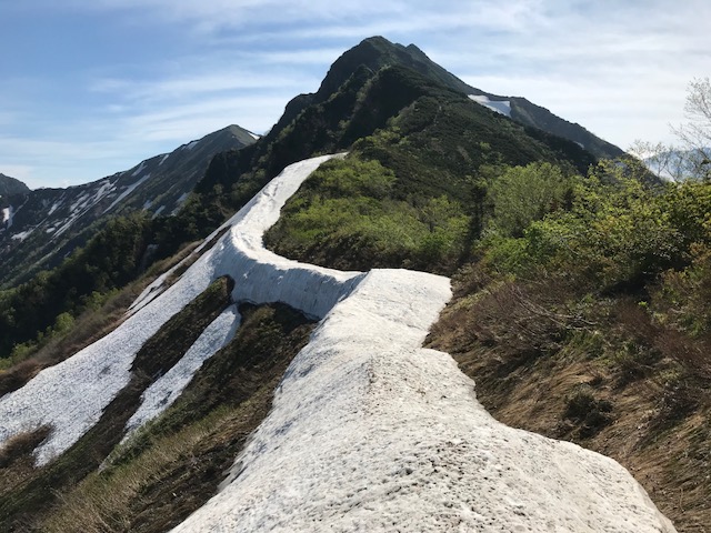 新越山荘周辺の主稜線はご覧のような雪庇の残がい上の山側を注意して進みます。