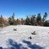 種池山荘テント場はまだまだご覧の雪に覆われたままです。