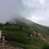 爺ヶ岳への稜線はコバイケイソウやナナカマドの白いお花を見ながらの稜線歩きです。