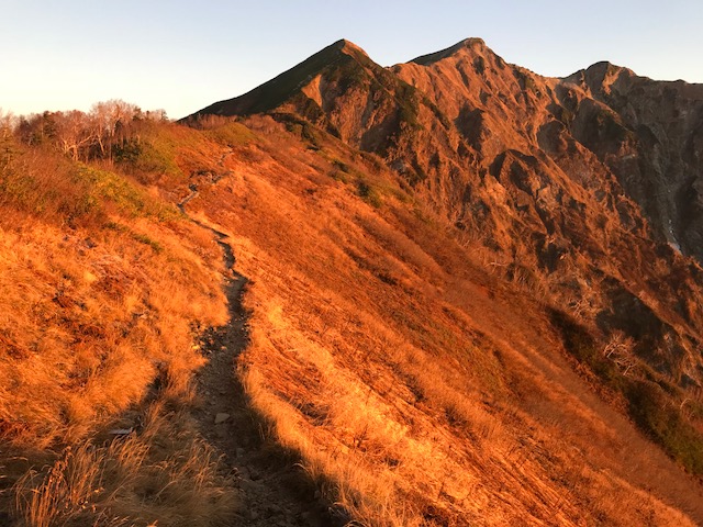 鹿島槍ヶ岳モルゲンロート。枯れ色の斜面に朝日があたるとさらに強烈。晩秋の山肌です。