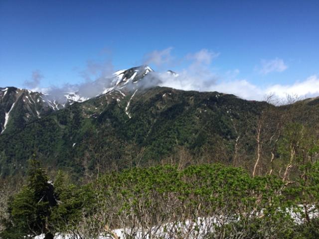 鹿島槍ヶ岳。穏やかな梅雨の中休みの一日。稜線ではナナカマドの新緑が目に優しい。