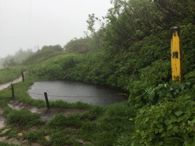 今日も種池を強雨が打ち続ける一日