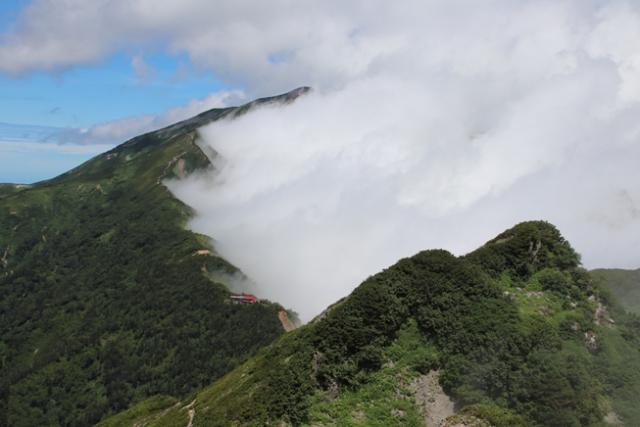高い雲海に鹿島槍ヶ岳頂上まで隠れる。小屋は冷池山荘