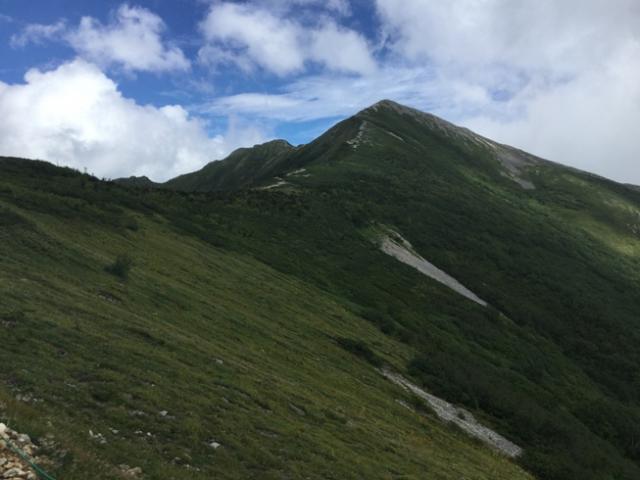 爺ヶ岳の山肌も夏の青さが目立ちます。