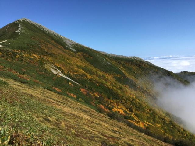 爺ヶ岳南西斜面は、もう一段の色乗せにも期待！これからは日に70～80ｍぐらい紅葉前線も下降します