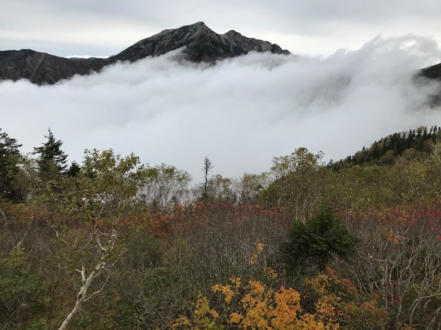 鹿島槍ヶ岳より　黒部側の雲海が滝雲になって冷池山荘稜線を襲う朝。8時頃パラパラと初雪が舞いました。