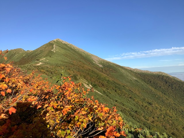正面の爺ヶ岳南西斜面もまだ２分の色付き。紅葉はこれからです