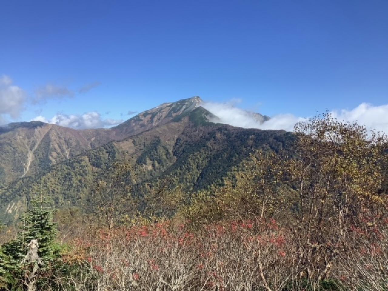 鹿島槍ヶ岳も全容を現してくれました。頂上付近に雪が残っているのが見えます