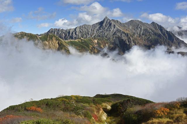 紅葉する弓折岳稜線から雲海の槍ヶ岳を望む(10月6日撮影)