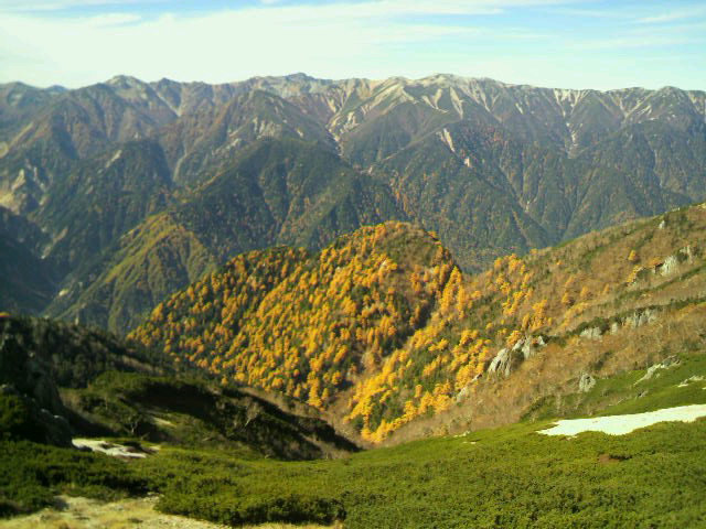 山頂から高瀬側にのびる尾根のからまつの黄色が鮮やかです 