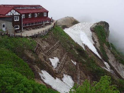 山荘の東側の斜面の雪はほとんどなくなり緑の部分が多くなってきました。