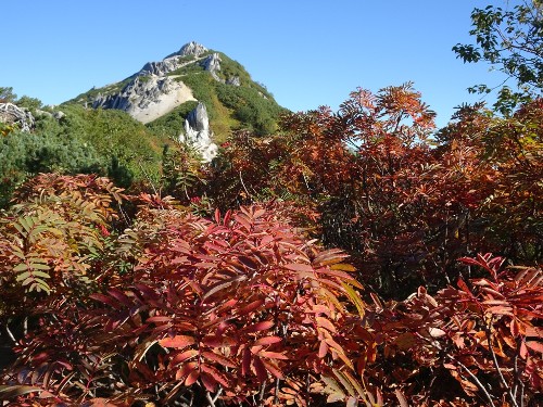 燕岳周辺は紅葉が見頃となりました