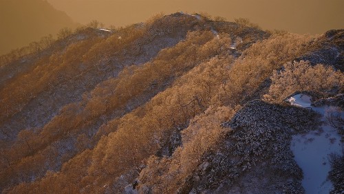 合戦尾根の木々にびっしりと霧氷が付き、それが朝日に染まり、なんとも言えない美しさでした