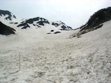 大曲付近から山荘まで、まだまだほとんど雪です。写真は丸山から上部の様子 