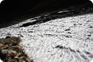 三の沢のすぐ横には今年融けずに残っている雪渓