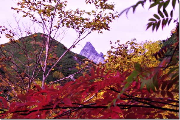 ヒュッテからビックリ平までの登山道では、赤色、黄色、緑色が複雑に入り乱れ撮影スポットは多種多様に選べます。　撮影　大天井ヒュッテスタッフ