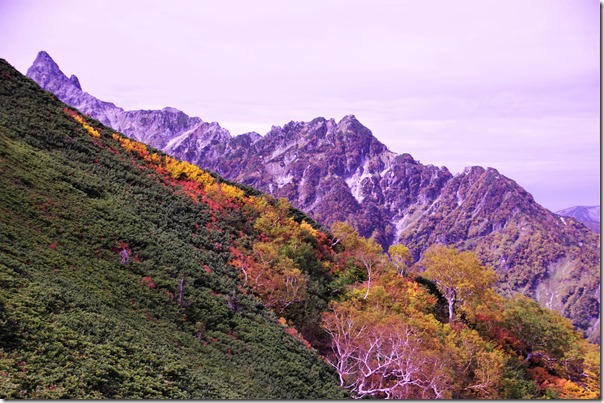 ビックリ平道標の位置から少し貧乏沢側に下ると、ビックリ平西稜の紅葉と槍ヶ岳北鎌尾根とのコラボが見られるポイントがあります。　撮影　大天井ヒュッテスタッフ