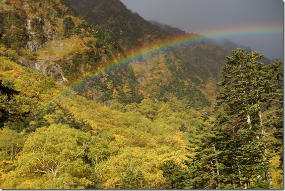 槍沢の秋はまだまだこれから　10/2朝方は台風一過とはいかなかったものの、雨に濡れた紅葉の美しさと、虹が出現しスタッフ一同大興奮でした！