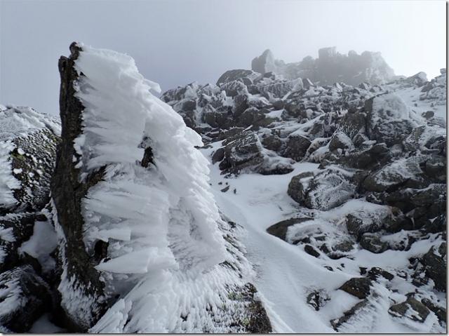 3000ｍの稜線は、冬山の状況。ガチガチの雪面、風と低温でエビのしっぽが成長してます。アイゼン、ピッケルはもちろん登山靴や手袋、防風対策、防寒対策は必須です。