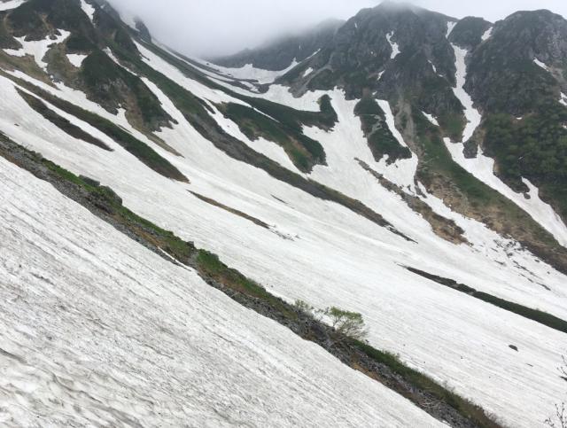 氷河公園入口からあたりから槍沢の上部を見ると、やはりまだまだ残雪は豊富です。