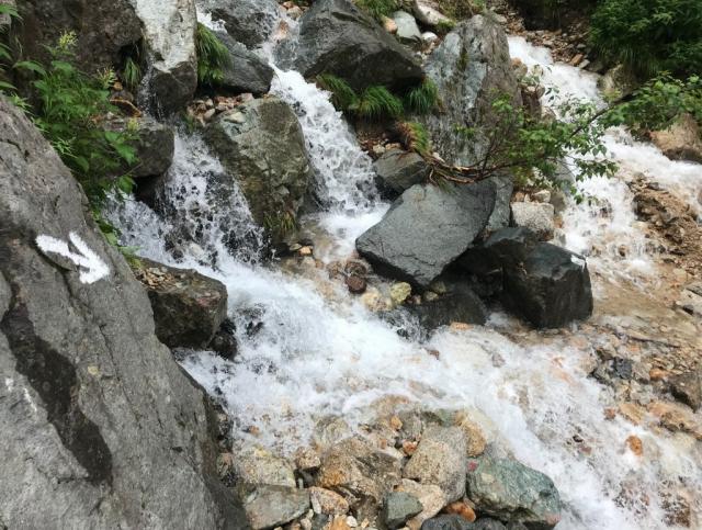 ババ平から上部、小さな沢も水量が増し、登山道を水が流れている箇所があります。