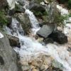 ババ平から上部、小さな沢も水量が増し、登山道を水が流れている箇所があります。