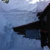 入山から除雪を続け、昨日夕方に玄関が開きました！