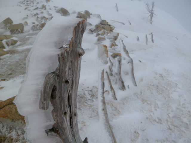 丸山付近では、非常に珍しい氷でできたエビの尻尾ができています。岩氷と呼ぶ場合もあるようです 