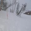 強い冬型で吹雪となった西穂周辺 