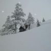 猛吹雪で、積雪が40cmほど増えました 