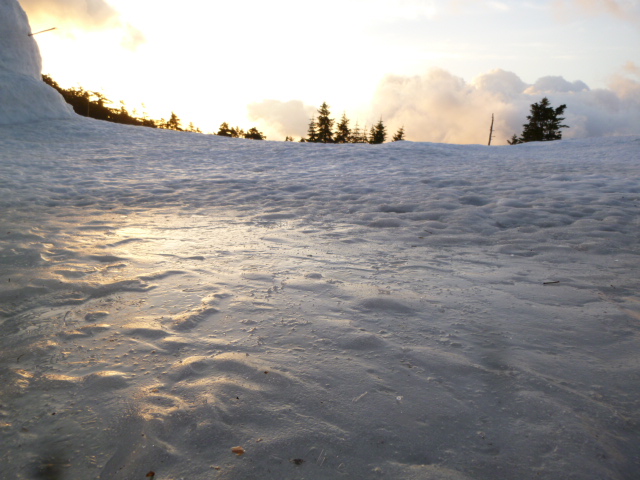 雪面は今朝の冷え込みで凍りつき、滑りやすくなっていました。 
