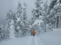 多くの方が登られた登山道のトレースも、雪が降り続けば一晩で完全に消えてしまいます。