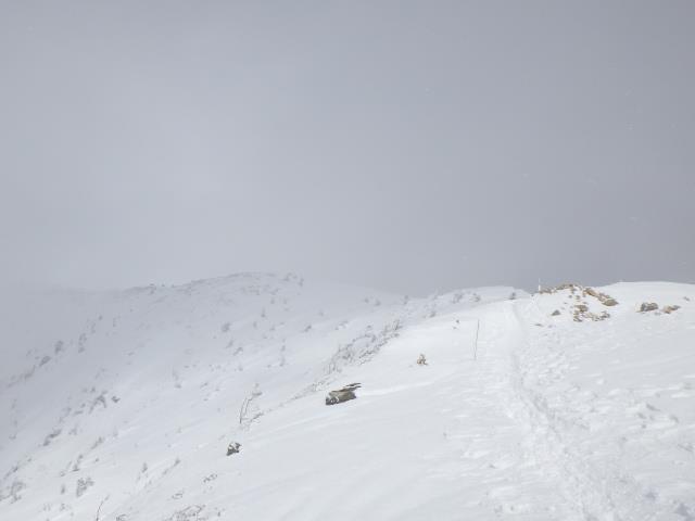 稜線上の積雪は例年通り。