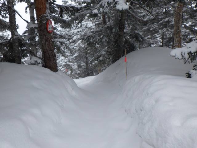 ロープウェイ側の登山道。トレースの上には雪のじゅうたんが敷きつめられていました。