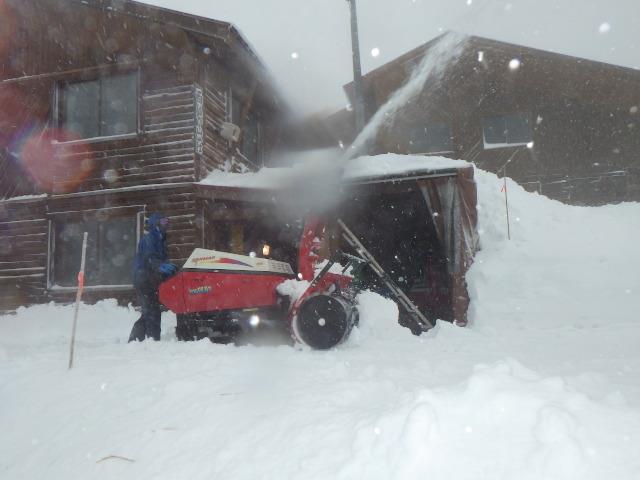 降雪中　小屋前の状況です。除雪作業も雪の中