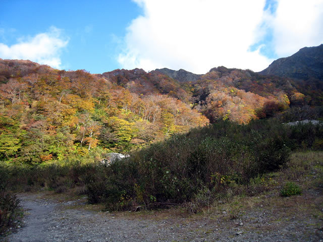 現在の紅葉の様子。元谷から見た宝珠尾根付近 