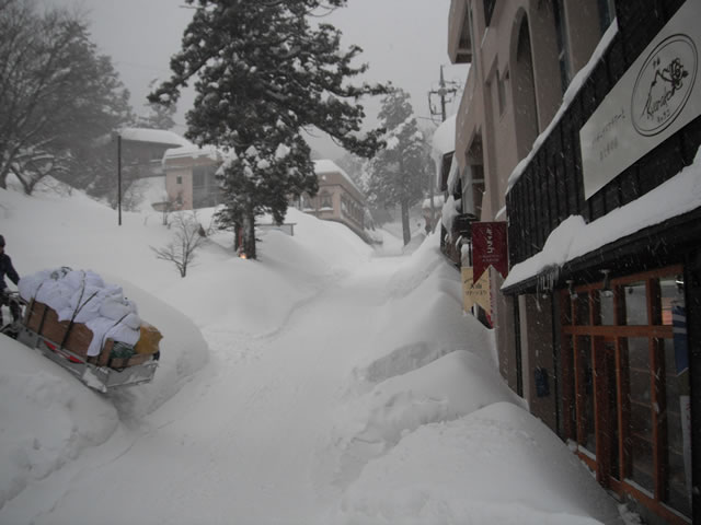 大山寺の参道でも、この積雪量 