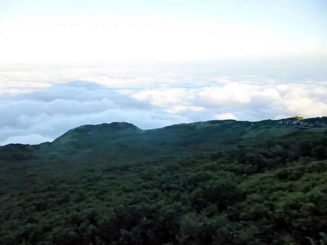 雲海に浮かぶ影大山