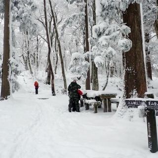 阿弥陀堂付近の積雪