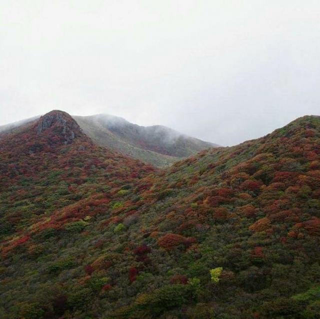 三俣山はパッチワークのようになってます　10月12日撮影