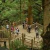 今年の3月に完成した広い縄文杉展望デッキ。シルバーウィーク中も混雑感はだいぶ解消されたようです。